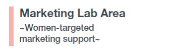 marketing lab area
