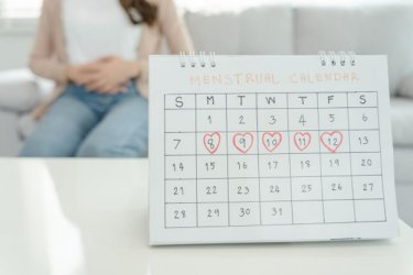 初潮から閉経までの年数は38.2年