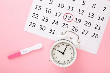 妊娠しやすいタイミングは排卵日前の2日間